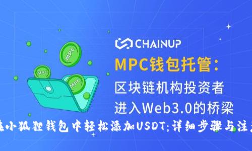 如何在小狐狸钱包中轻松添加USDT:详细步骤与注意事项