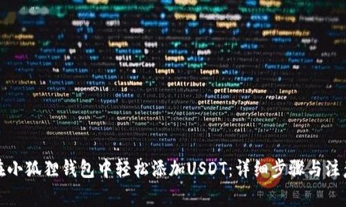 如何在小狐狸钱包中轻松添加USDT:详细步骤与注意事项