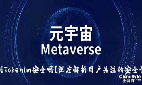 将币提到Tokenim安全吗?深度解析用户关注的安全性与风险