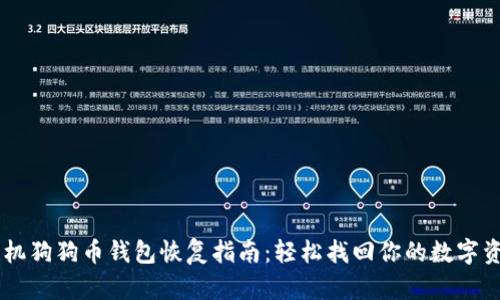 手机狗狗币钱包恢复指南:轻松找回你的数字资产
