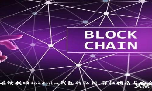 如何有效找回Tokenim钱包的私钥：详细指南与安全提示