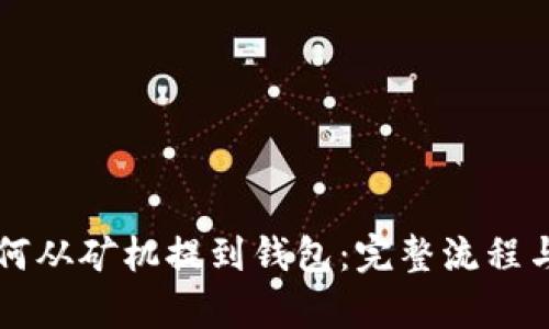 比特币如何从矿机提到钱包：完整流程与技巧解析
